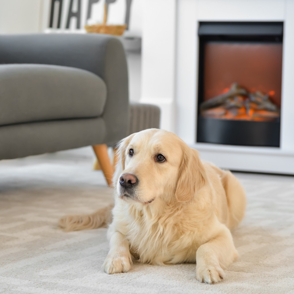 Furnace Maintenance Before Winter in Ontario